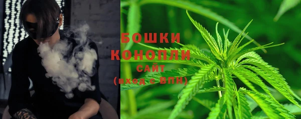 крисы Ельня