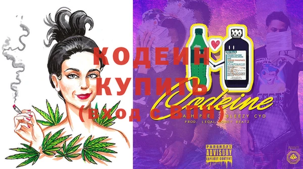 крисы Ельня