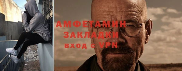 крисы Ельня