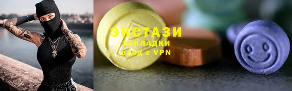 крисы Ельня