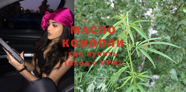 крисы Ельня