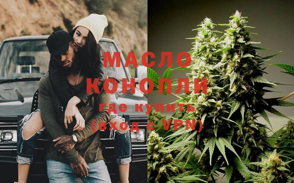 крисы Ельня