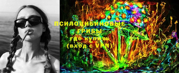 гашик Дмитровск