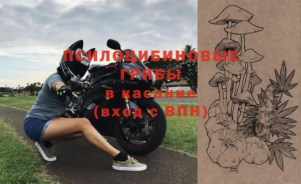 крисы Ельня